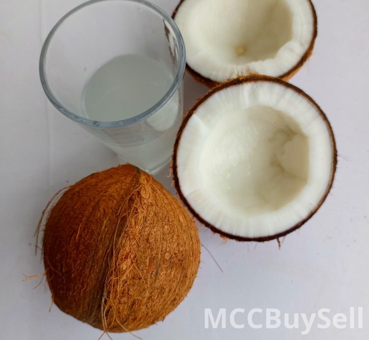 Coconut fruit