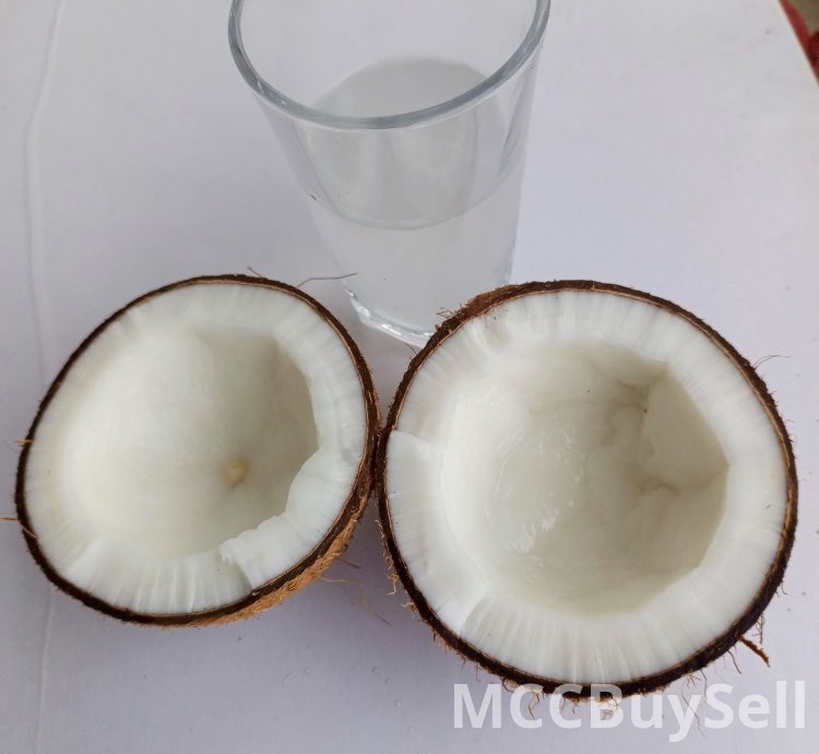 Coconut fruit