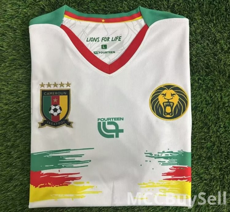 T-shirts, Assorted Designs & Colours, Depicts Cameron's Indomitable Lions