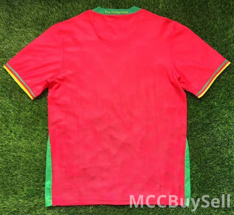 T-shirts, Assorted Designs & Colours, Depicts Cameron's Indomitable Lions