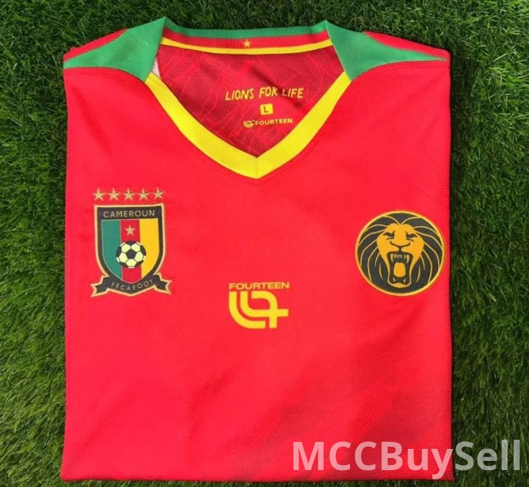 T-shirts, Assorted Designs & Colours, Depicts Cameron's Indomitable Lions