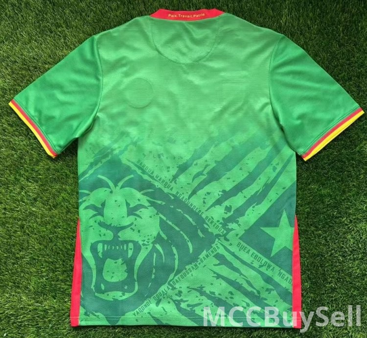 T-shirts, Assorted Designs & Colours, Depicts Cameron's Indomitable Lions