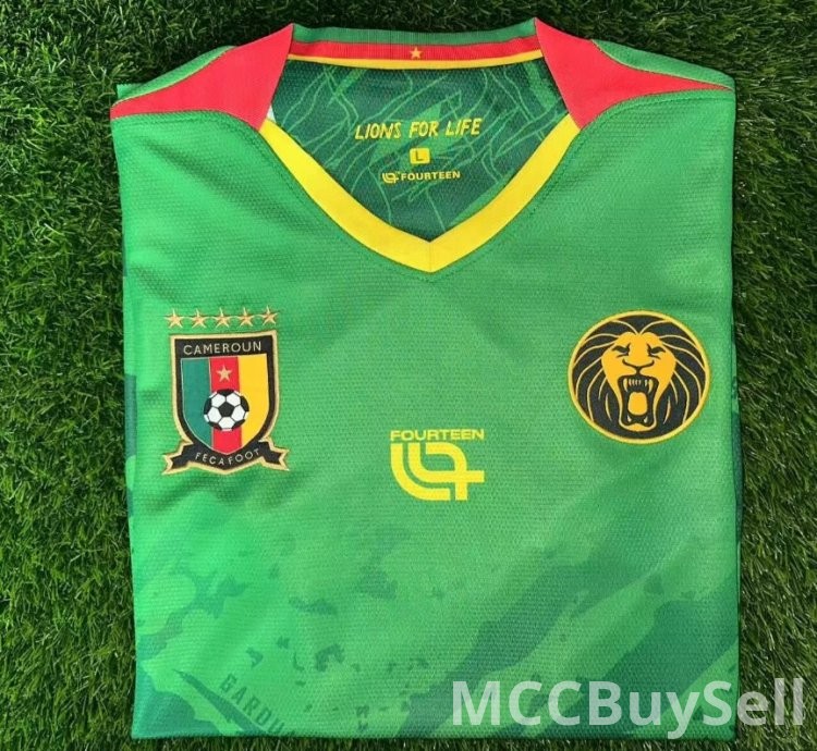 T-shirts, Assorted Designs & Colours, Depicts Cameron's Indomitable Lions