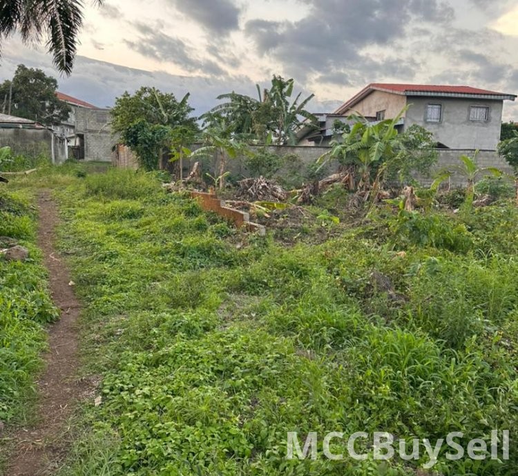 Titled Land for Sale, Prime Commercial Center - University of Buea Neighborhood