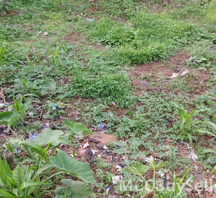 Residential plot for sale - Ideal for dream home.