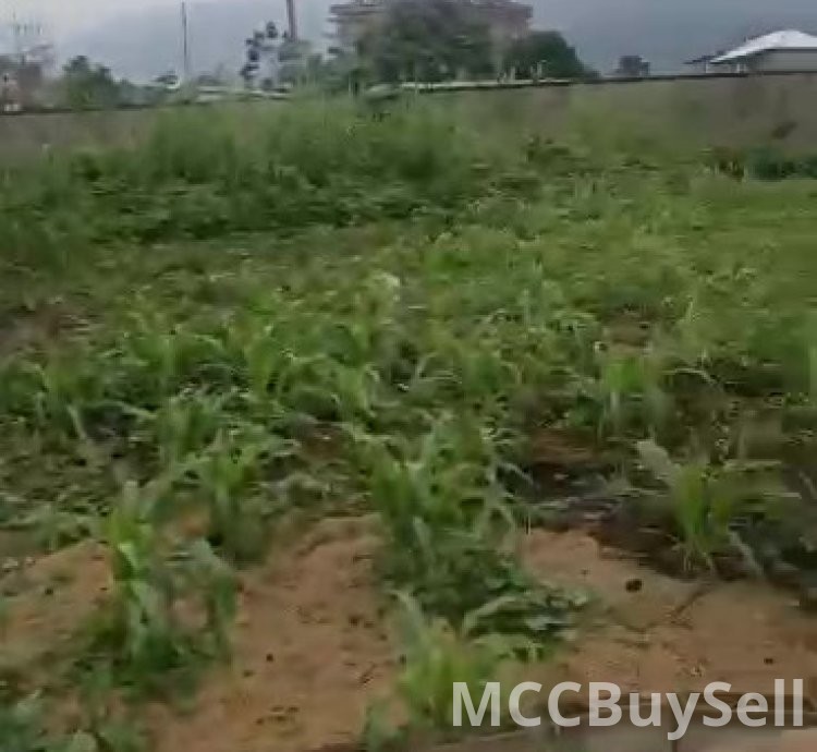 Titled Land for Sale, Molyko New Layout - Highly Accessible