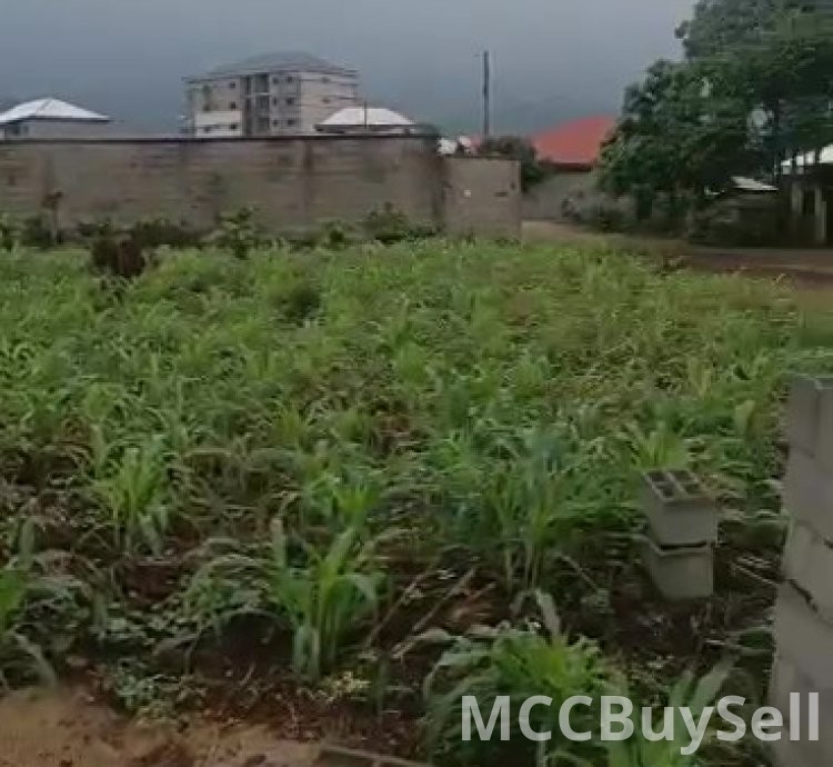 Titled Land for Sale, Molyko New Layout - Highly Accessible