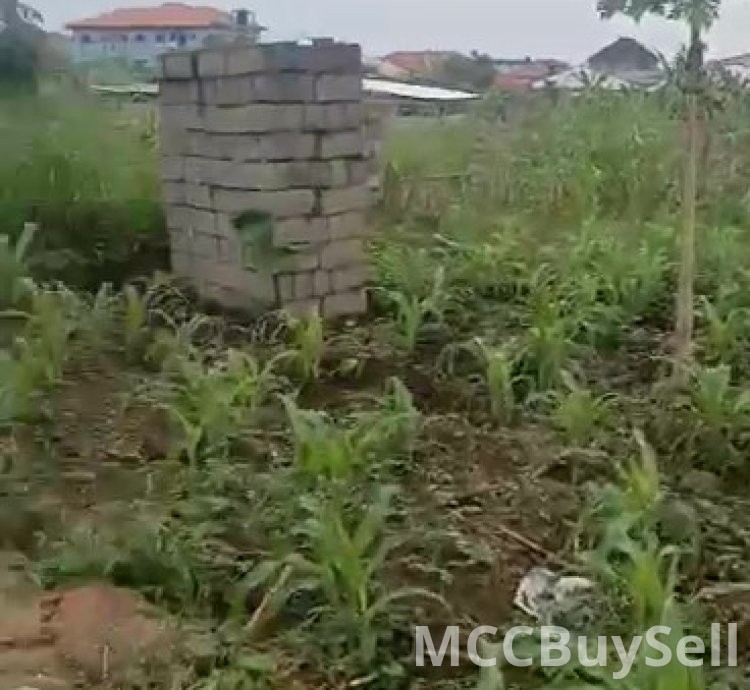 Titled Land for Sale, Molyko New Layout - Highly Accessible