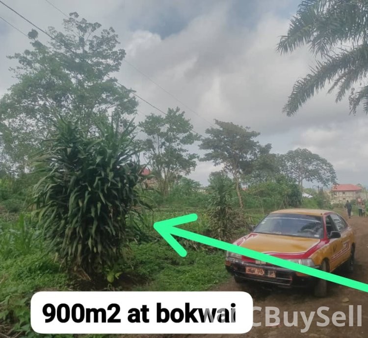 Land for sale 900m2  Bokwai Buea