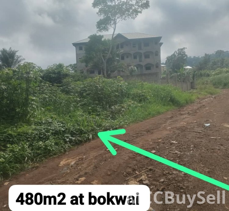 Land for sale 480m2 at Bokwai Buea, Suitable for residential or commercial development.