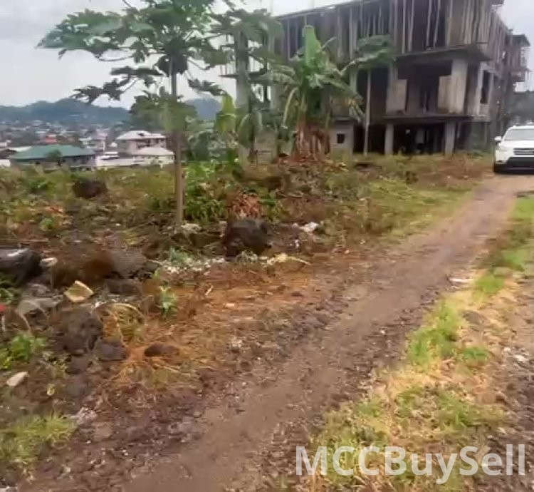 For Sale, Titled Land - Middle Farms Limbe @ Main Roadside