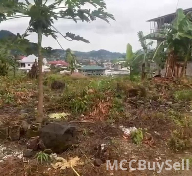 For Sale, Titled Land - Middle Farms Limbe @ Main Roadside