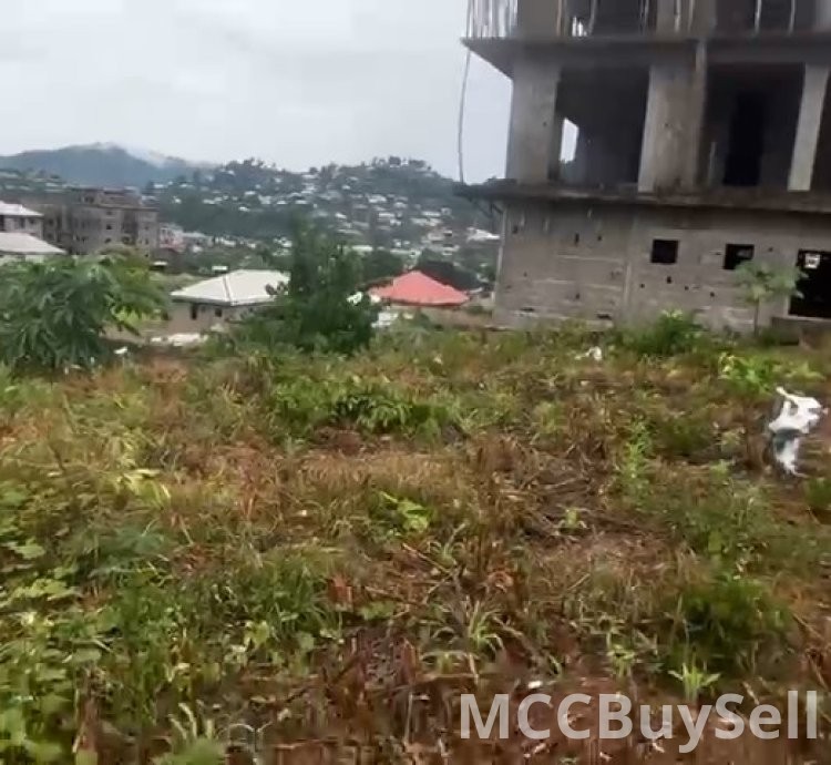 For Sale, Titled Land - Middle Farms Limbe @ Main Roadside