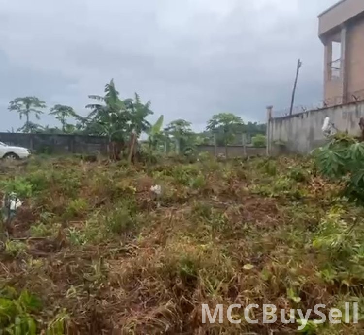 For Sale, Titled Land - Middle Farms Limbe @ Main Roadside