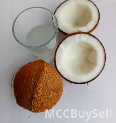 Coconut fruit