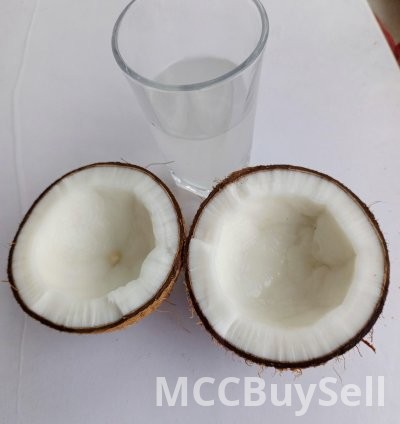 Coconut fruit