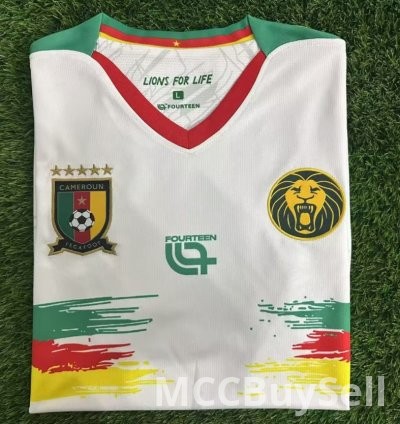 T-shirts, Assorted Designs & Colours, Depicts Cameron's Indomitable Lions