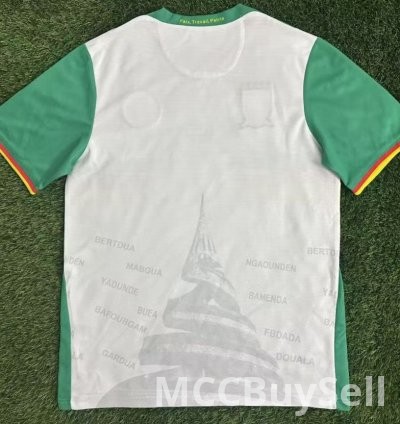 T-shirts, Assorted Designs & Colours, Depicts Cameron's Indomitable Lions 11