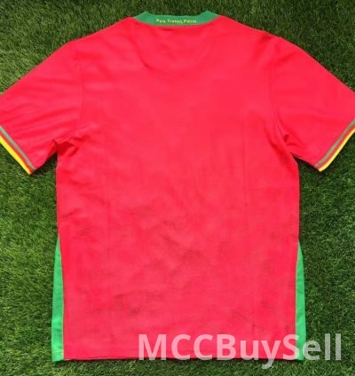 T-shirts, Assorted Designs & Colours, Depicts Cameron's Indomitable Lions 10