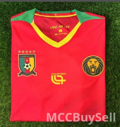 T-shirts, Assorted Designs & Colours, Depicts Cameron's Indomitable Lions 9