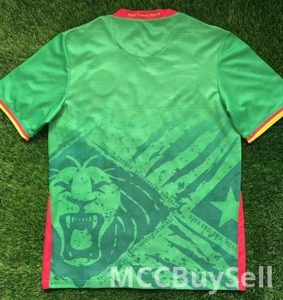 T-shirts, Assorted Designs & Colours, Depicts Cameron's Indomitable Lions 7
