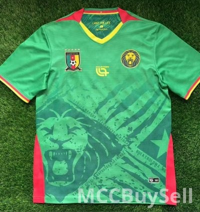 T-shirts, Assorted Designs & Colours, Depicts Cameron's Indomitable Lions 6