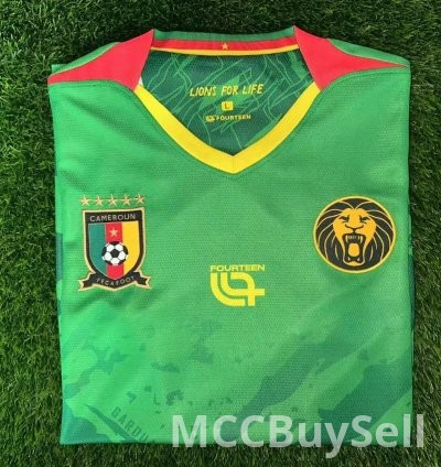 T-shirts, Assorted Designs & Colours, Depicts Cameron's Indomitable Lions 5