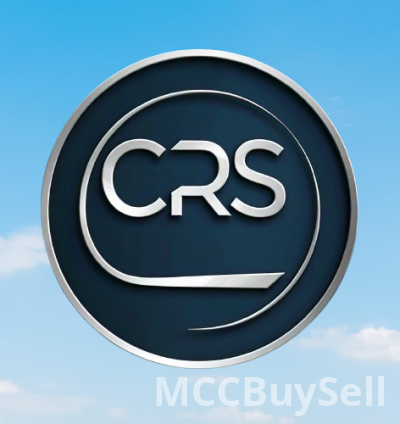 Logo, Car Rental Executive Services 3