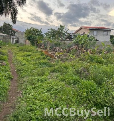 Titled Land for Sale, Prime Commercial Center - University of Buea Neighborhood