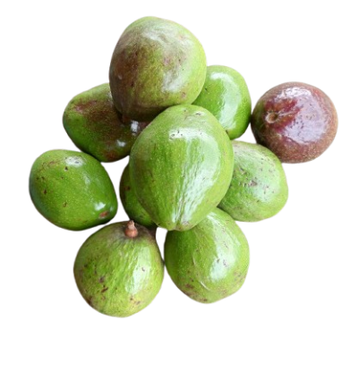 Avocado,  freshly harvested