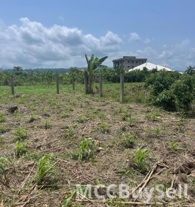 Tittled land for sale  1000m2 at Mutengene Road