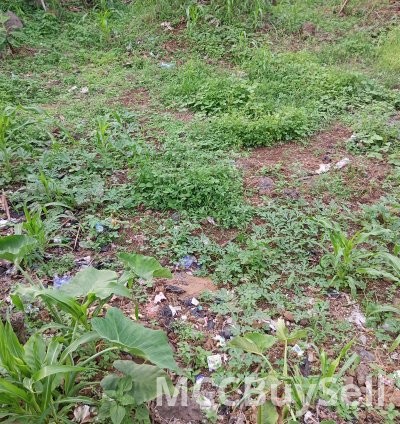 Residential plot for sale - Ideal for dream home.