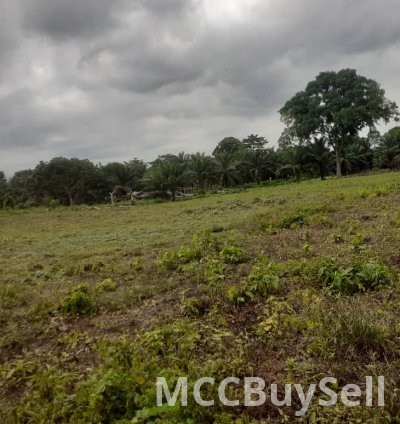 Lands for sale 6