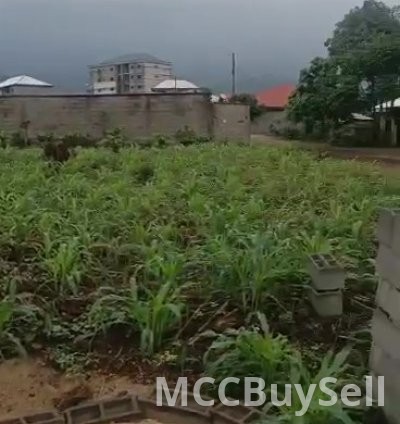 Titled Land for Sale, Molyko New Layout - Highly Accessible