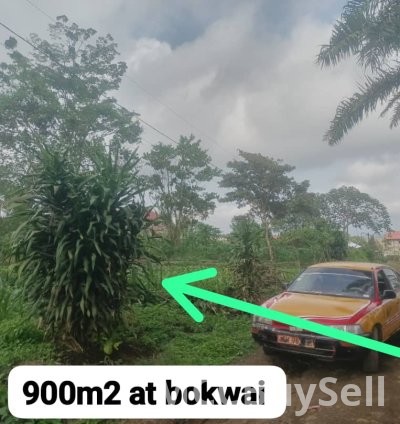 Land for sale 900m2  Bokwai Buea