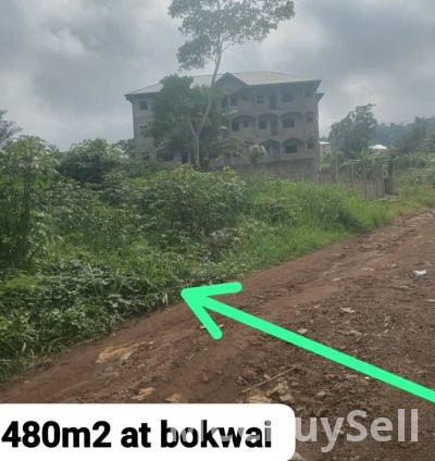 Land for sale 480m2 at Bokwai Buea, Suitable for residential or commercial development.