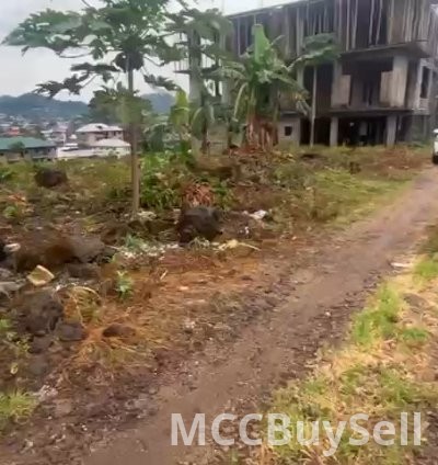 For Sale, Titled Land - Middle Farms Limbe @ Main Roadside 4