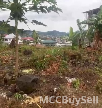 For Sale, Titled Land - Middle Farms Limbe @ Main Roadside 3