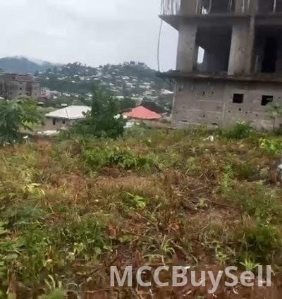 For Sale, Titled Land - Middle Farms Limbe @ Main Roadside