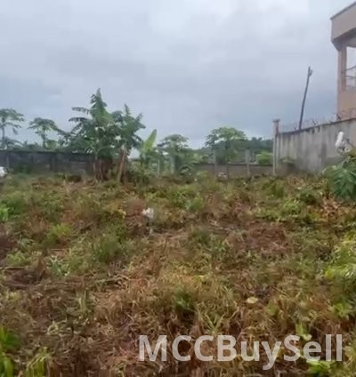 For Sale, Titled Land - Middle Farms Limbe @ Main Roadside