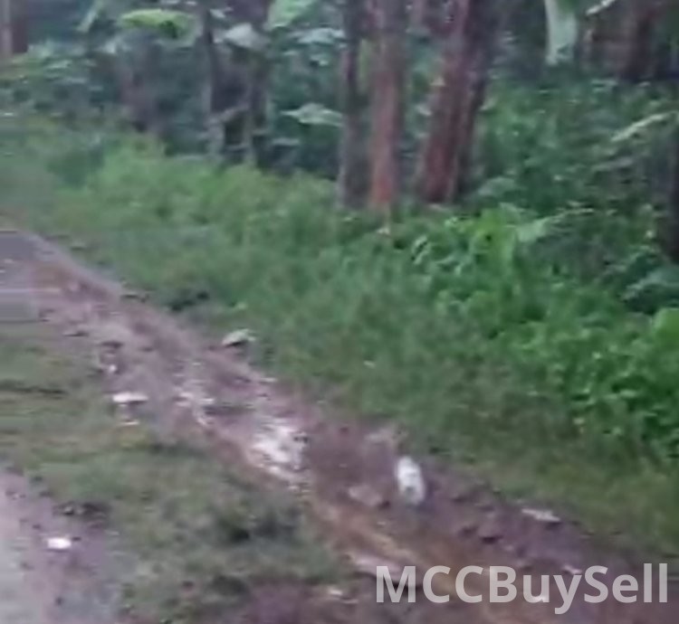 For Sale - Titled Land - Plots Opposite CKC Tiko - Residential, Commercial