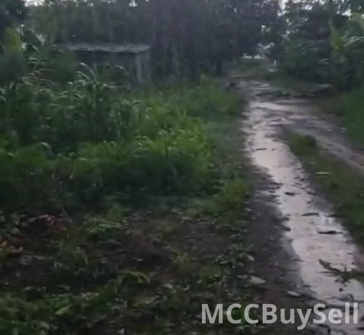 For Sale - Titled Land - Plots Opposite CKC Tiko - Residential, Commercial