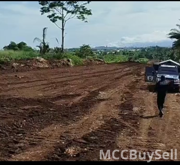 Hot Sale - Titled Land at Boanda, Mile 16 New Layout, Buea