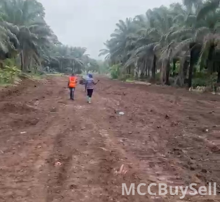 Hot Sale - Titled Land at Boanda, Mile 16 New Layout, Buea