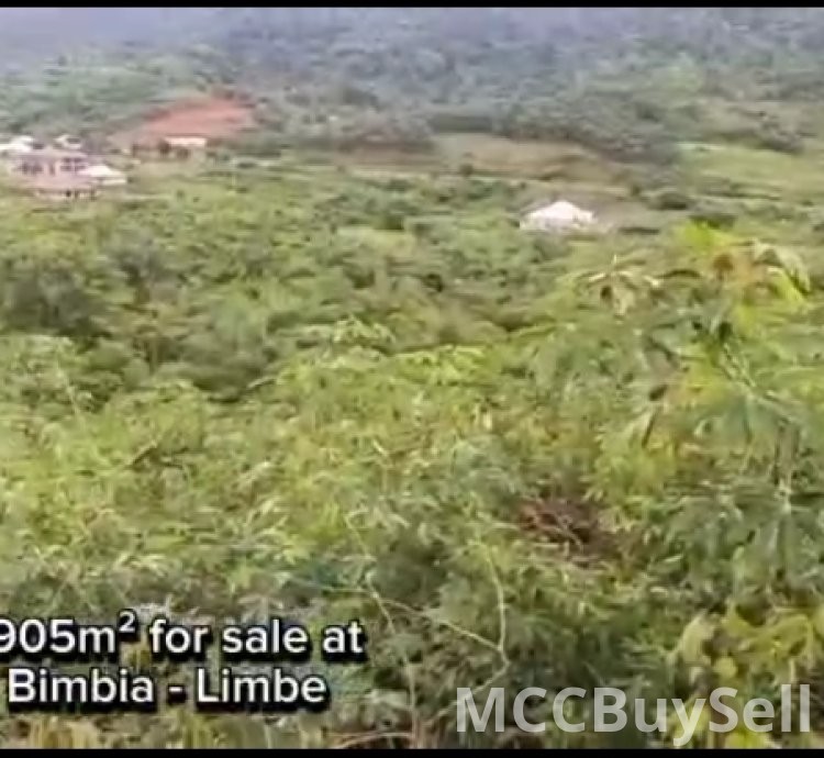Hot Sale, Titled Land at Bimbia  - Tourist Hub, Near Limbe