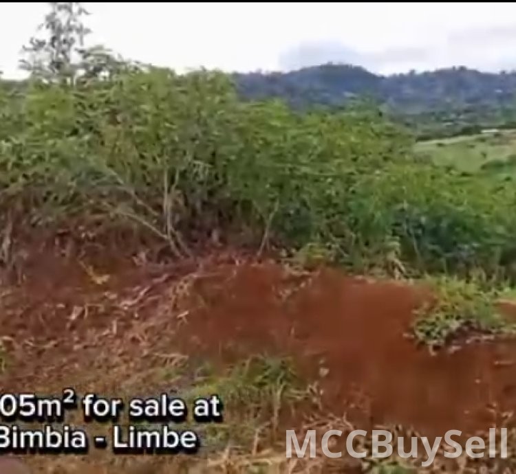 Hot Sale, Titled Land at Bimbia  - Tourist Hub, Near Limbe