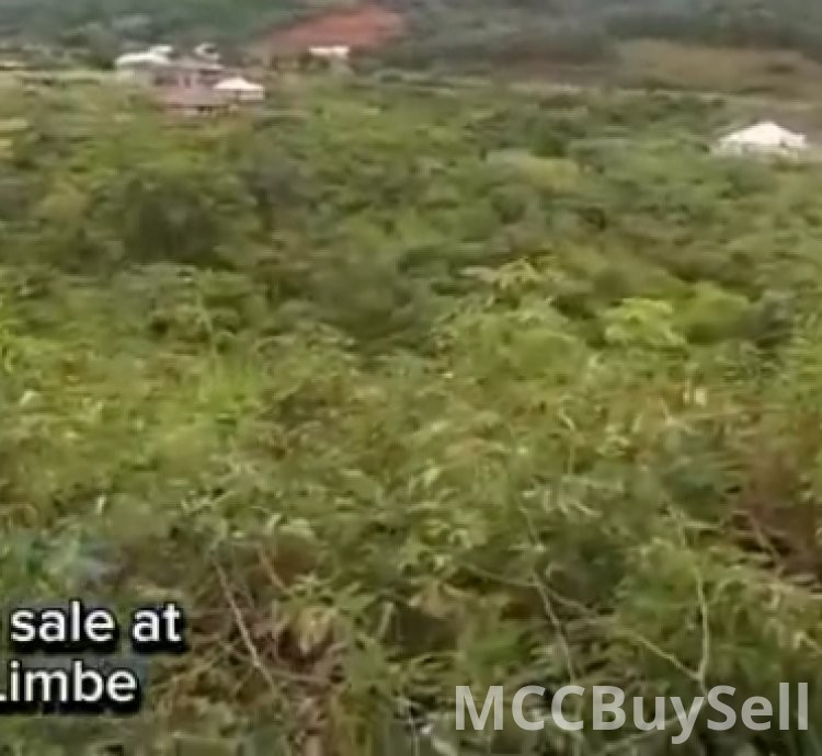 Hot Sale, Titled Land at Bimbia  - Tourist Hub, Near Limbe