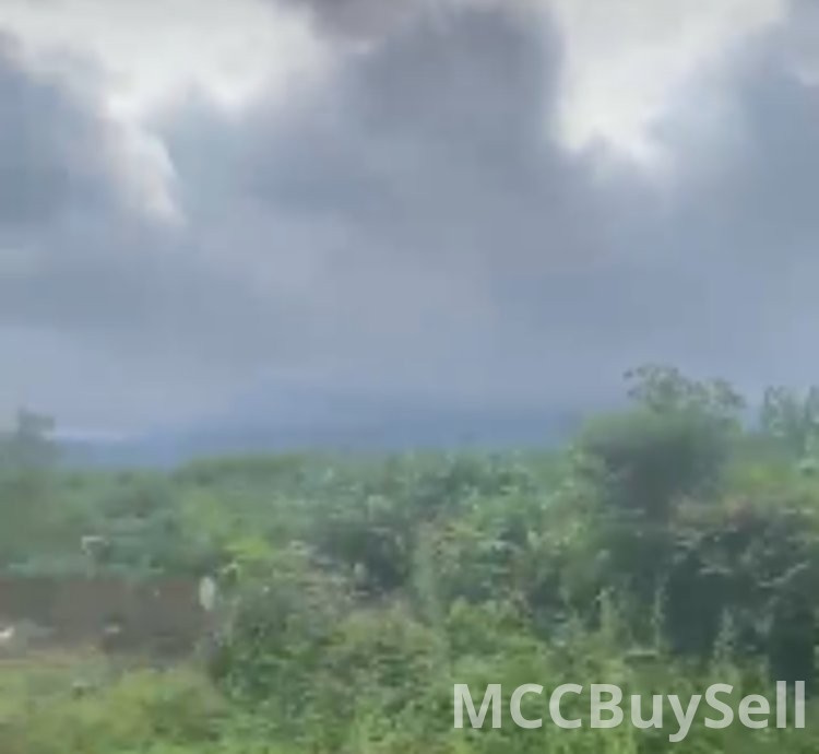 Hot Sale - Titled Land at Molyko New Layout, Buea