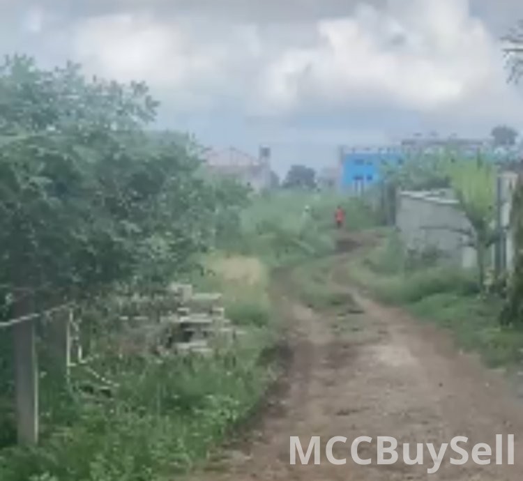 Hot Sale - Titled Land at Molyko New Layout, Buea