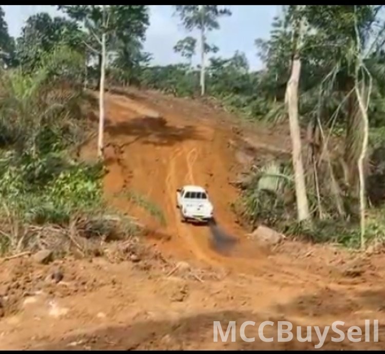 Hot Sale - 35 Hectares of Land, Muea Court Area - Buea